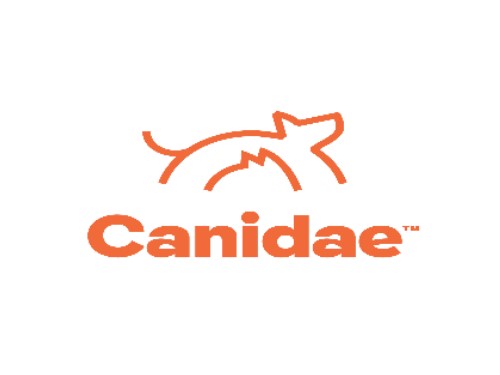 Candidae