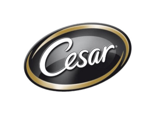 Cesar