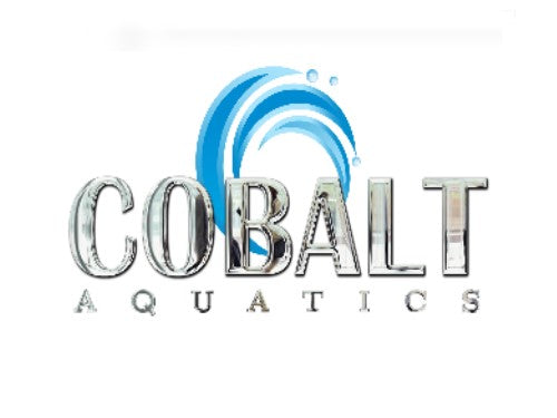 Cobalt International