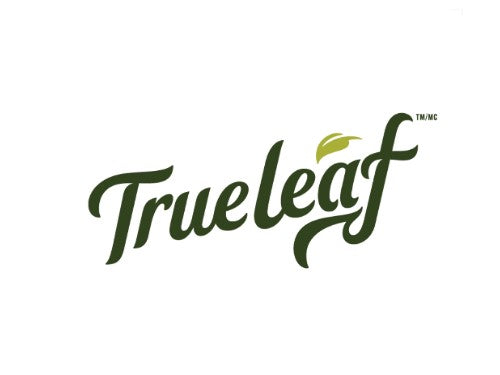 True Leaf