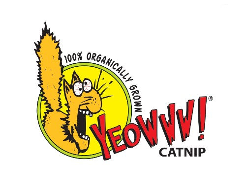 Yeowww! Catnip