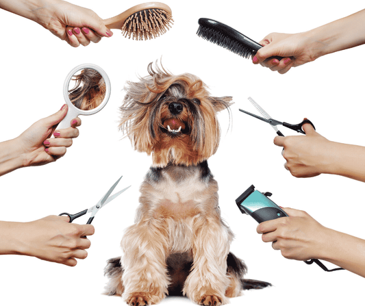 Pet Grooming For Dogs and Cats