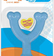 Nylabone Puppy Chew Toy Wishbone Chicken Blue 1ea/XS/Petite - Up To 15 lb for your Pet Dog with Pet Store X.