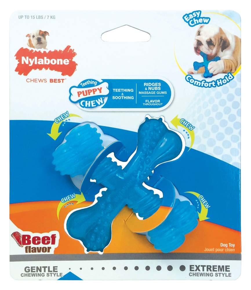 Nylabone Puppy Chew X Bone Chew Toy X Bone Beef Blue 1ea/SMall/Regular - Up To 25 Ibs for your Pet Dog with Pet Store X.