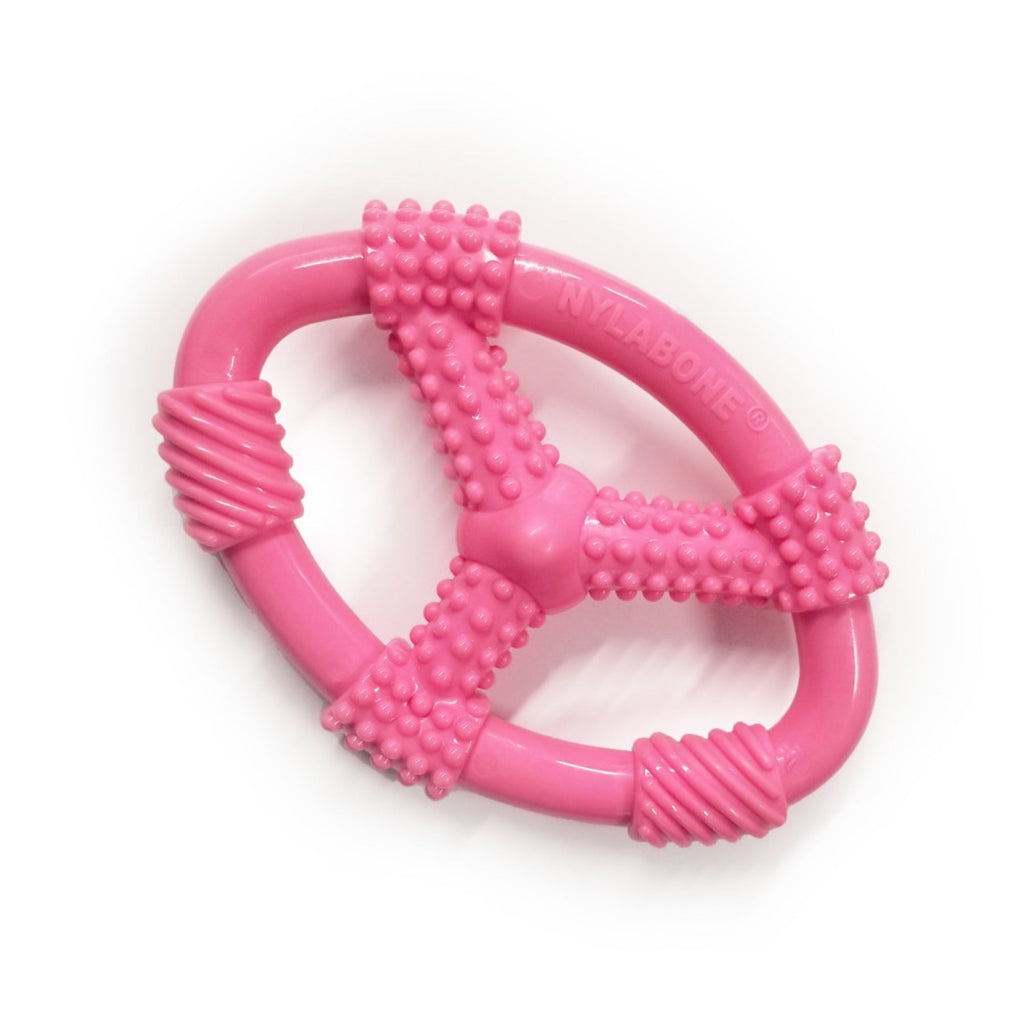 Nylabone Puppy Chew Spin Tug Play Toy Peanut Butter, Pink, 1ea/Medium/Wolf  Up To 35 Lbs. 1 ct