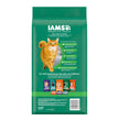 IAMS Proactive Health Senior Dry Cat Food Chicken 1ea/3.5 lb