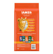 IAMS Proactive Health Adult Dry Cat Food Salmon 3.5lb