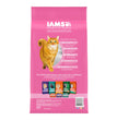 IAMS Proactive Health Sensitive Digestion & Skin Adult Dry Cat Food Turkey 1ea/6 lb