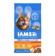 IAMS ProActive Health Healthy Enjoyment Dry Cat Food Chicken & Salmon 1ea/6 lb