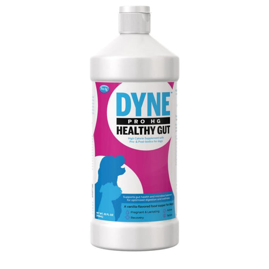 Pet-Ag Dyne Pro HG Healthy Gut Dog Nutritional Supplement 1ea/32 oz for your Pet Dog with Pet Store X.