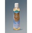 Bio-Groom Silky Cat Tearless Shampoo 8oz