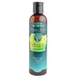 Bio Groom Lemon Grass & Verbena Shampoo 1ea/8 oz for your Pet Dog with Pet Store X.