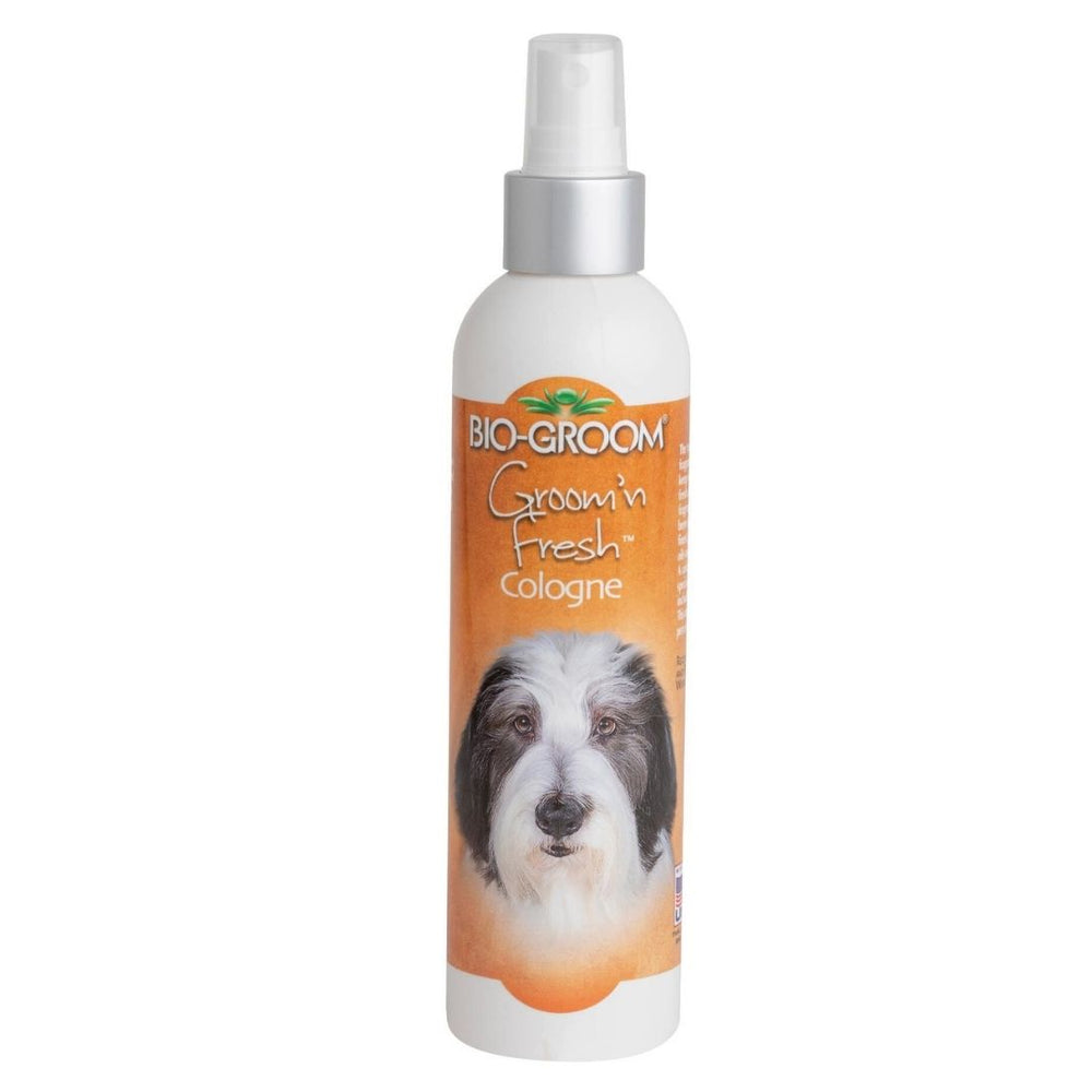 Bio Groom Groom n' Fresh Cologne for Dogs 1ea/8 fl oz for your Pet Dog with Pet Store X.