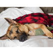 Tall Tails Dog Hunters Blanket 30X40