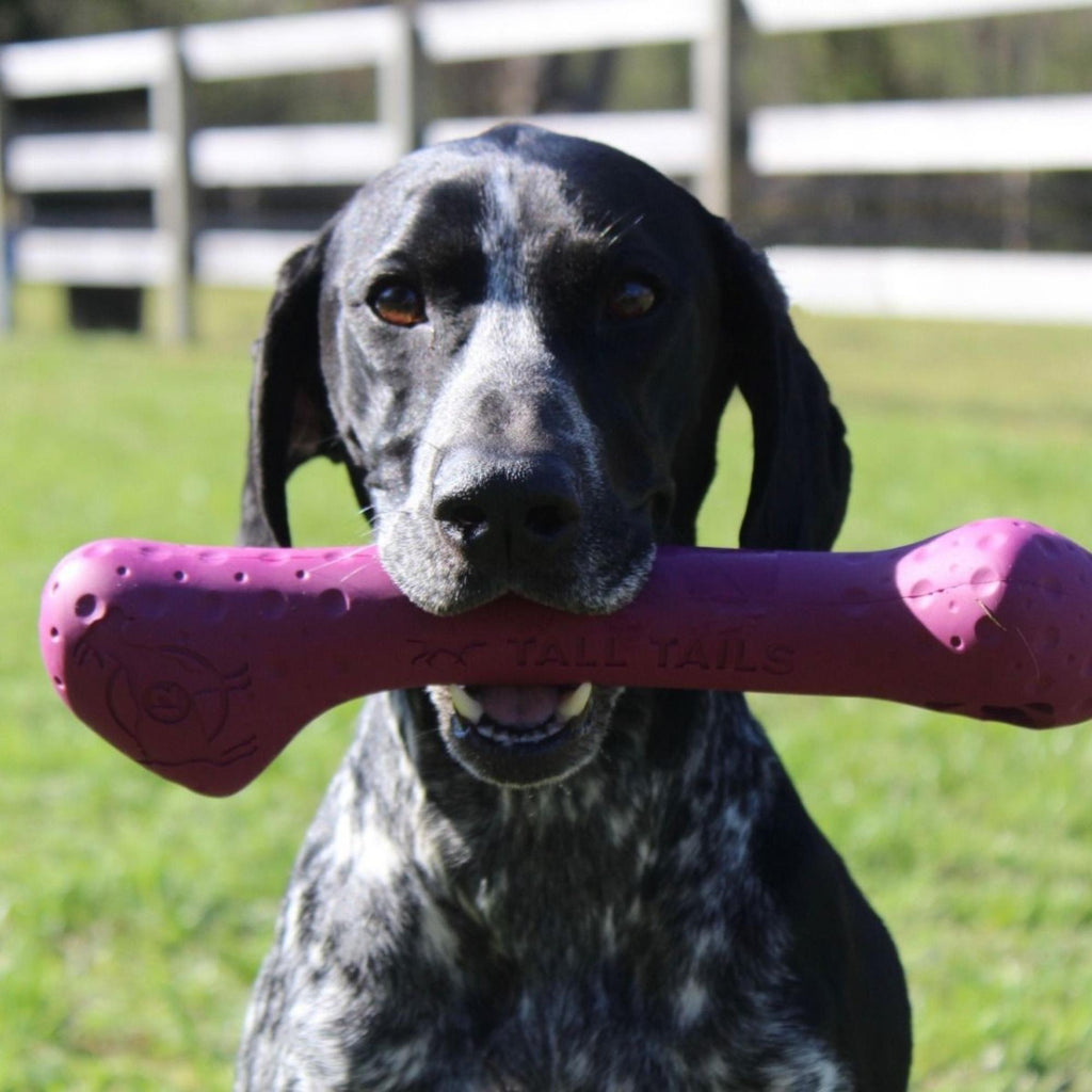 Tall Tails Dog Goat Bone Purple 12 Inch