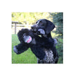 Tall Tails Dog Rope Gorilla 14 Inch