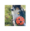 Tall Tails Dog Goat Flexiball 5 Inch