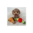 Territory Dog Treat Tug Tomato 15 Inch