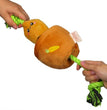 Territory Dog Treat Tug Carrot 15 Inch