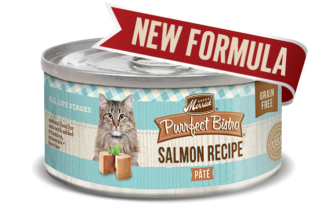 Merrick Cat Purrfect Bistro Salmon Pate 3oz (Case of 24) for your Pet Cat with Pet Store X!