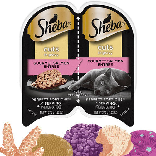 Sheba Perfect Portions Cuts in Gravy Wet Cat Food Gourmet Salmon 24ea/26 oz for your Pet Cat with Pet Store X!