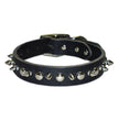 Omni Pet Latigo Leather 1 Ply Spiked Dog Collar Black 3/8 x 10in.