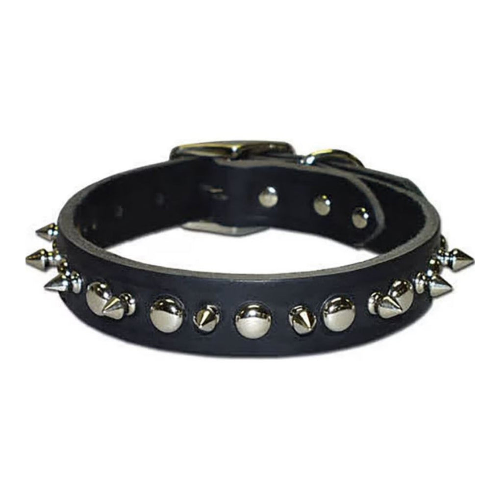 Omni Pet Latigo Leather 1 Ply Spiked Dog Collar Black 3/8 x 12in.