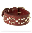 Omni Pet Latigo Leather Spike/Stud Dog Collar Burgundy 1.75 x 20in.