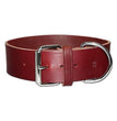 Omni Pet Latigo Leather 1 Ply Dog Collar Burgundy 2 x 29in.