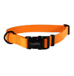 Omni Pet Carnival Biothane Dog Collar Orange 1 x 18 x 26 in.