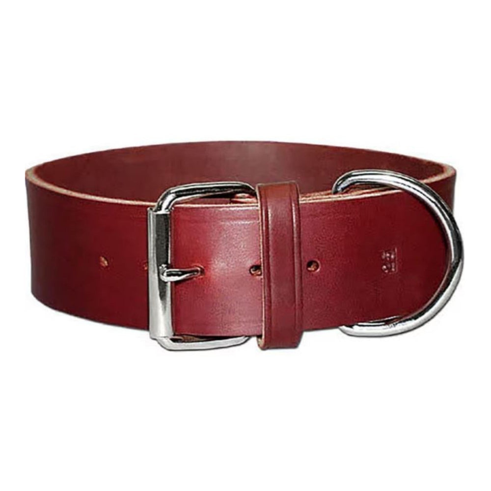 Omni Pet Latigo Leather 1 Ply Dog Collar Burgundy 2 x 21in.