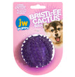 JW Pet Bristl-ee Cactus Ball Puppy Toy 1ea/Puppy for your Pet Dog with Pet Store X.