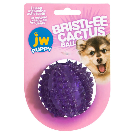 JW Pet Bristl-ee Cactus Ball Puppy Toy 1ea/Puppy for your Pet Dog with Pet Store X.