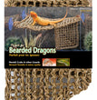 Penn-Plax Corner Lizard Lounger Climbing & Resting Mat Brown 1ea/17In X 10 in, LG for your Pet Reptile with Pet Store X.