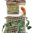 Penn-Plax Lizard Lounger Basking Platform with Vines Brown 1ea/235 In X 14 in for your Pet Reptile with Pet Store X.