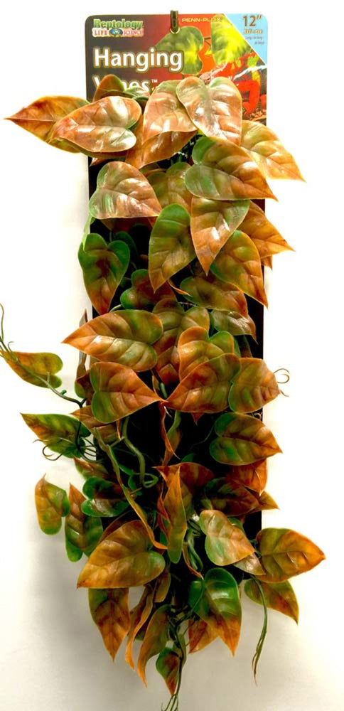 Penn-Plax Reptile Vine Green, Brown 1ea/12 in for your Pet Fish.