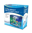 Penn-Plax Cascade Ultra Bright Aquarium LED Accent Light White 1ea/One Size