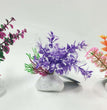 Penn-Plax Rock Aquarium Plant Style Assorted 1ea/6 in for your Pet Fish with Pet Store X!