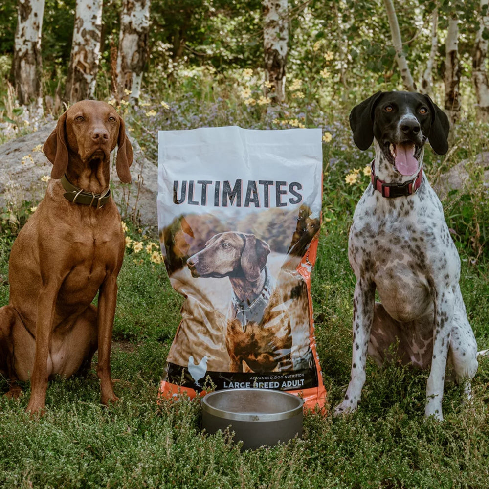 Ultimates Large Breed Adult Dog Food Chicken/Rice 28 Lb