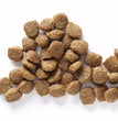 Wholesomes Whole Grain Adult Dog Food Fish/Rice 40 Lb