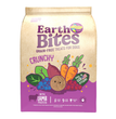 Earthborn Holistic EarthBites Crunchy Dog Treats Lamb & Pumpkin 1ea/10 oz