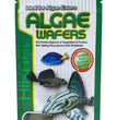 Hikari USA Algae Wafers Rapidly Sinking Wafer Fish Food 1ea/1.41 oz