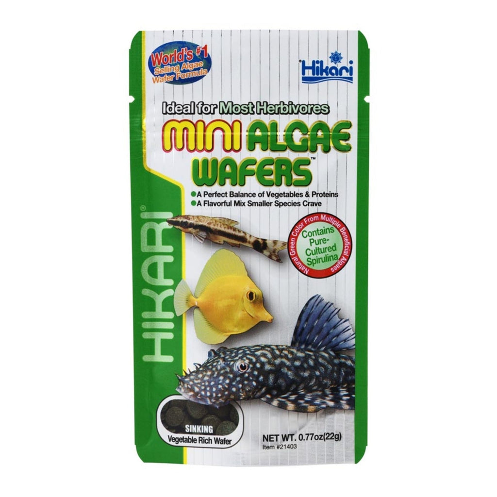 Hikari USA Algae Wafers Sinking Wafer Fish Food 1ea/0.77 oz, Mini