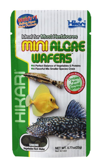 Hikari USA Algae Wafers Sinking Wafer Fish Food 1ea/077 oz, Mini for your Pet Fish with Pet Store X!