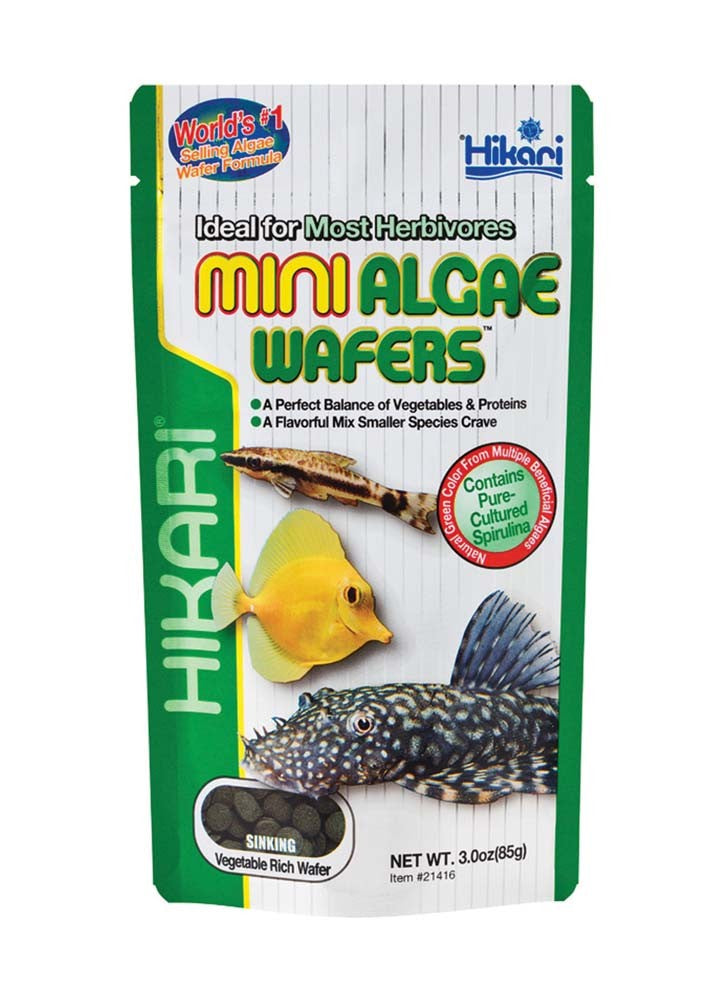 Hikari USA Algae Wafers Sinking Wafer Fish Food 1ea/2.2 lb, Mini