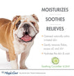 Four Paws Magic Coat Hypo-Allergenic Dog Shampoo Hypoallergenic Shampoo, 1ea/16oz.