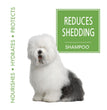 Four Paws Magic Coat Reduces Shedding Shampoo for Dogs Reduces Shedding Dog Shampoo, 1ea/16oz.