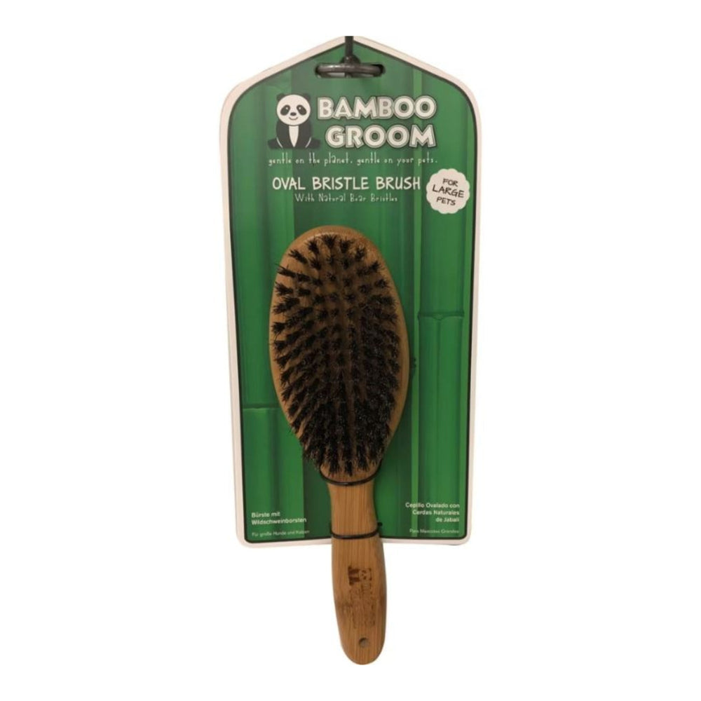 Bamboo Groom Oval Boar Bristle Brush Large for your Pet Dog with Pet Store X.