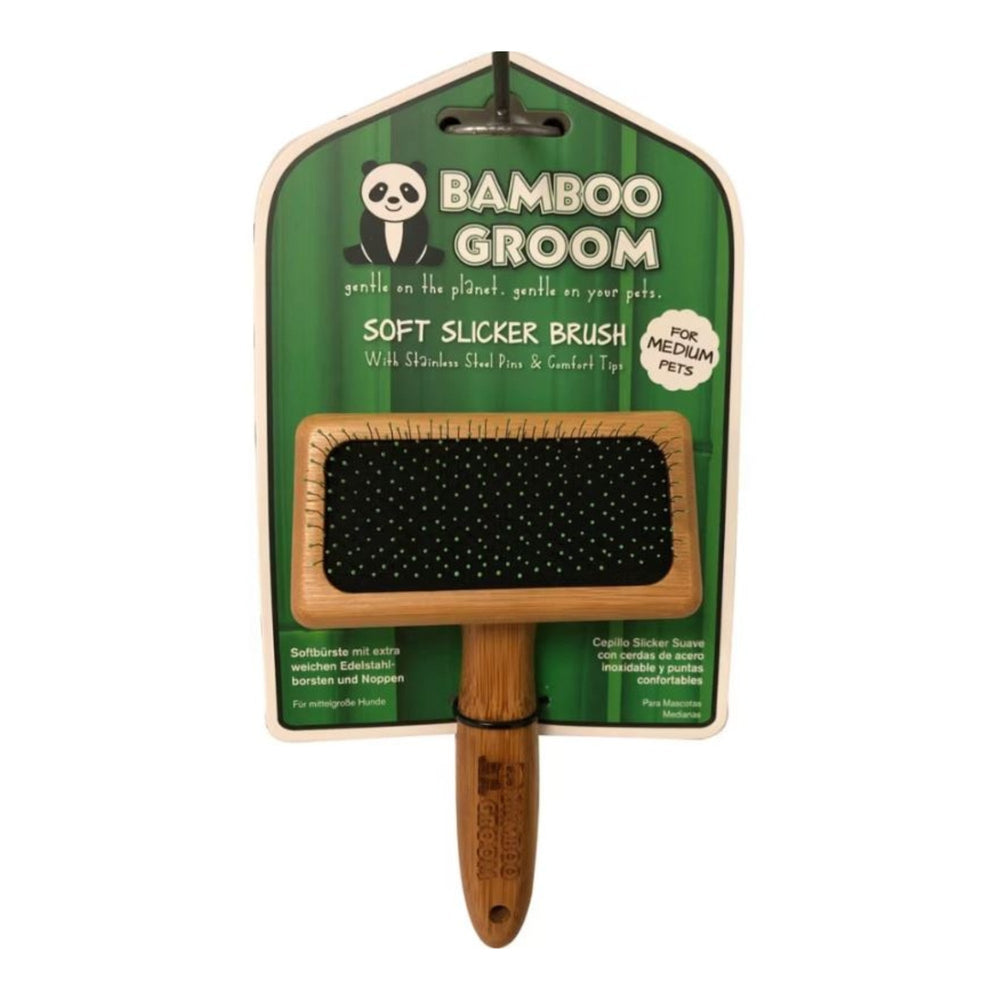 Bamboo Groom Soft Slicker Brush Medium for your Pet Dog with Pet Store X.