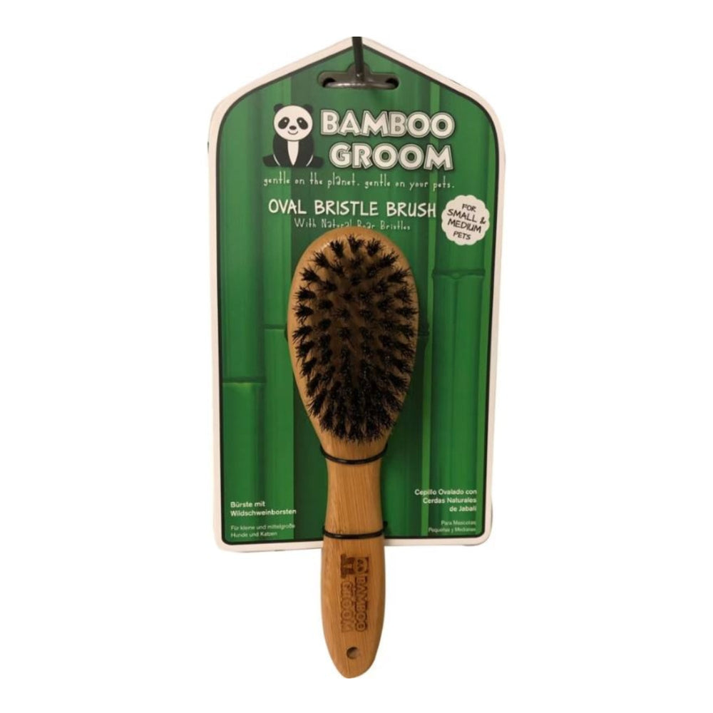 Bamboo Groom Oval Boar Bristle Brush Small/Medium for your Pet Dog with Pet Store X.